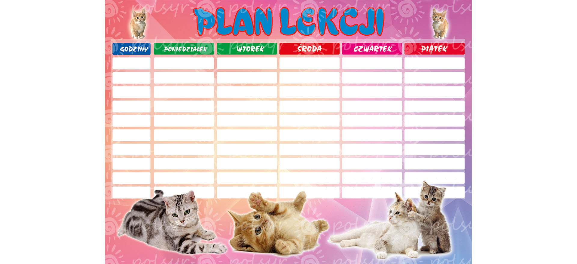 Plan lekcji  A5 (1szt.) Polsyr